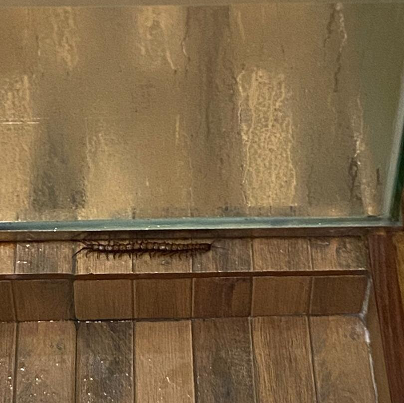 Sea Horizon Resort主图