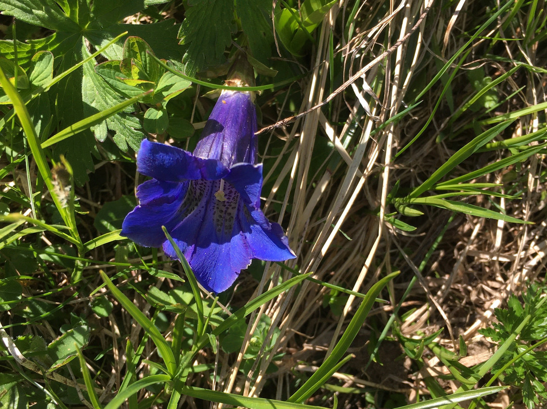 Quartier Severin主图