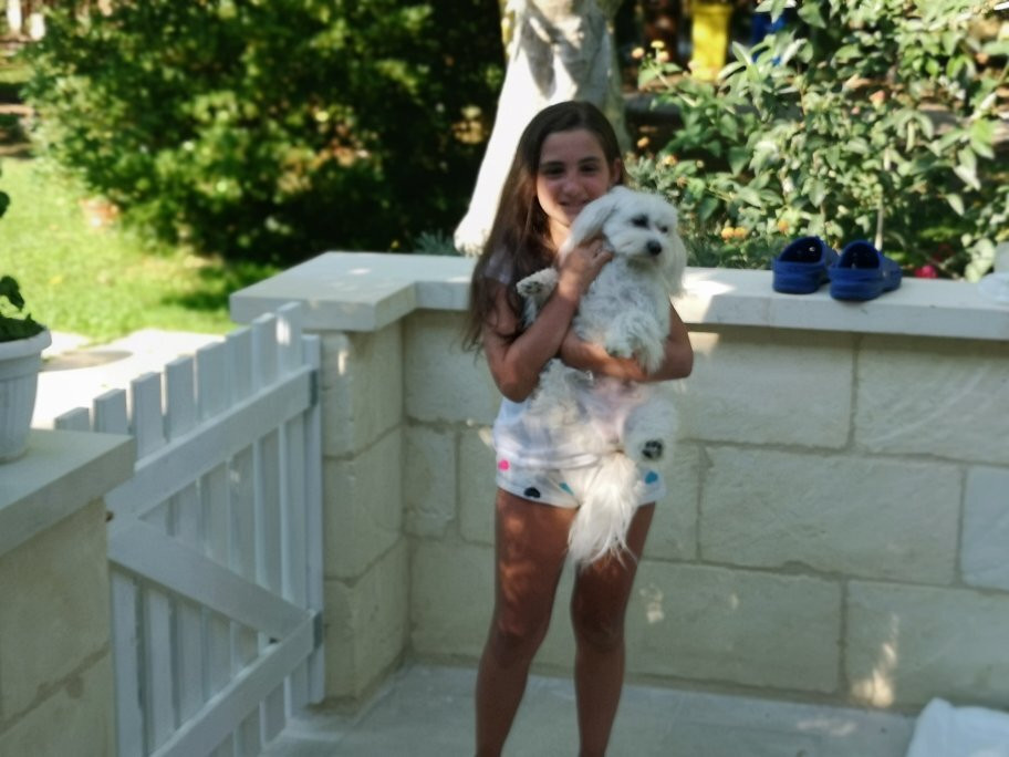 B&B Il Corbezzolo主图