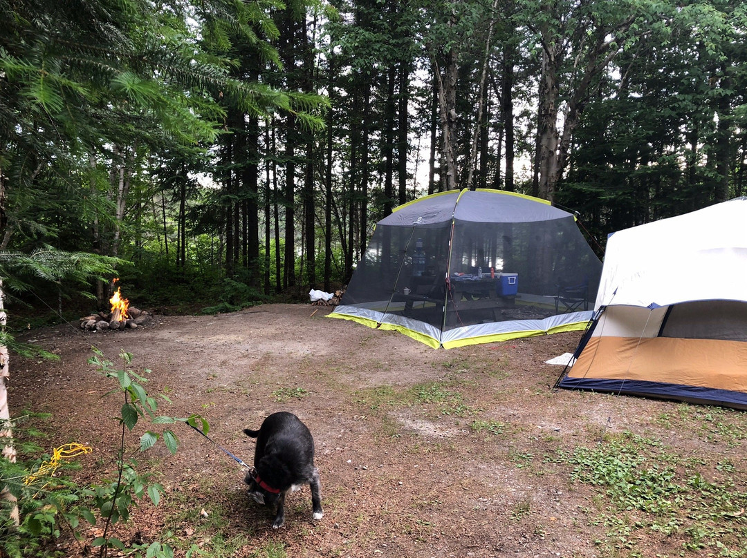 La Verendrye Reserve (Reserve faunique La Verendrye)-魁北克必去景点