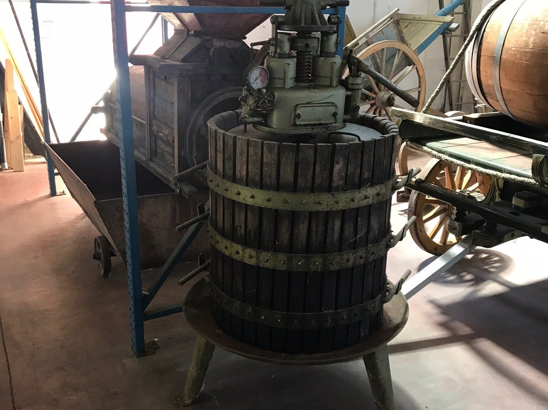 Cantine Macrì景点图片