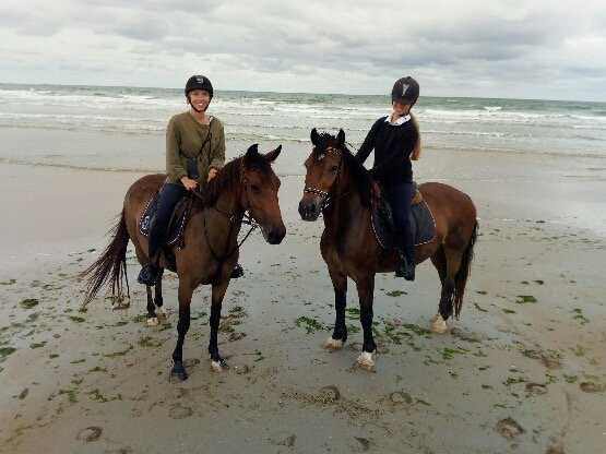 Centre Equestre des Dunes-Erdeven必去景点