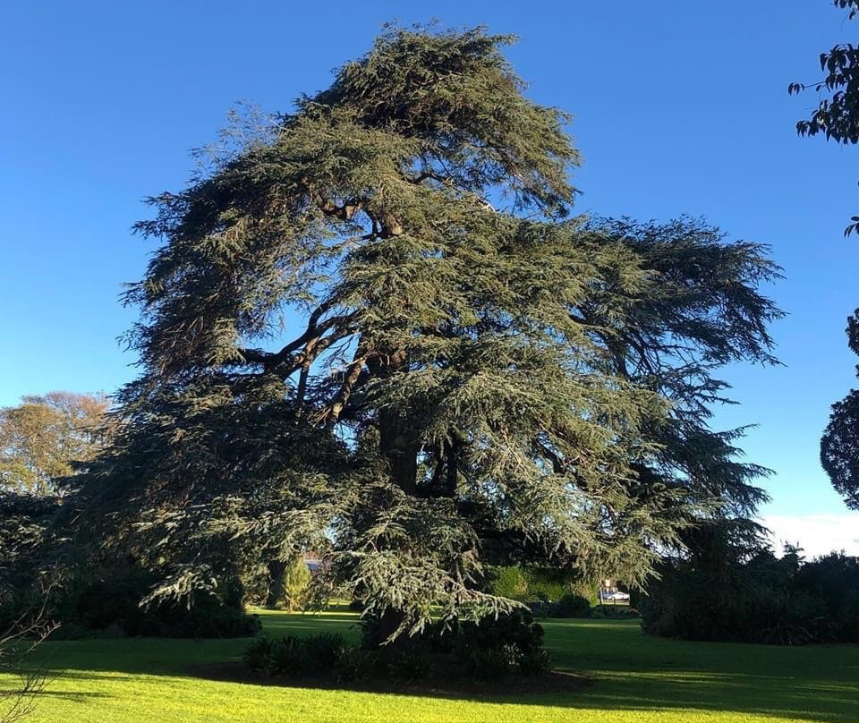 Koroit Botanical Gardens景点图片