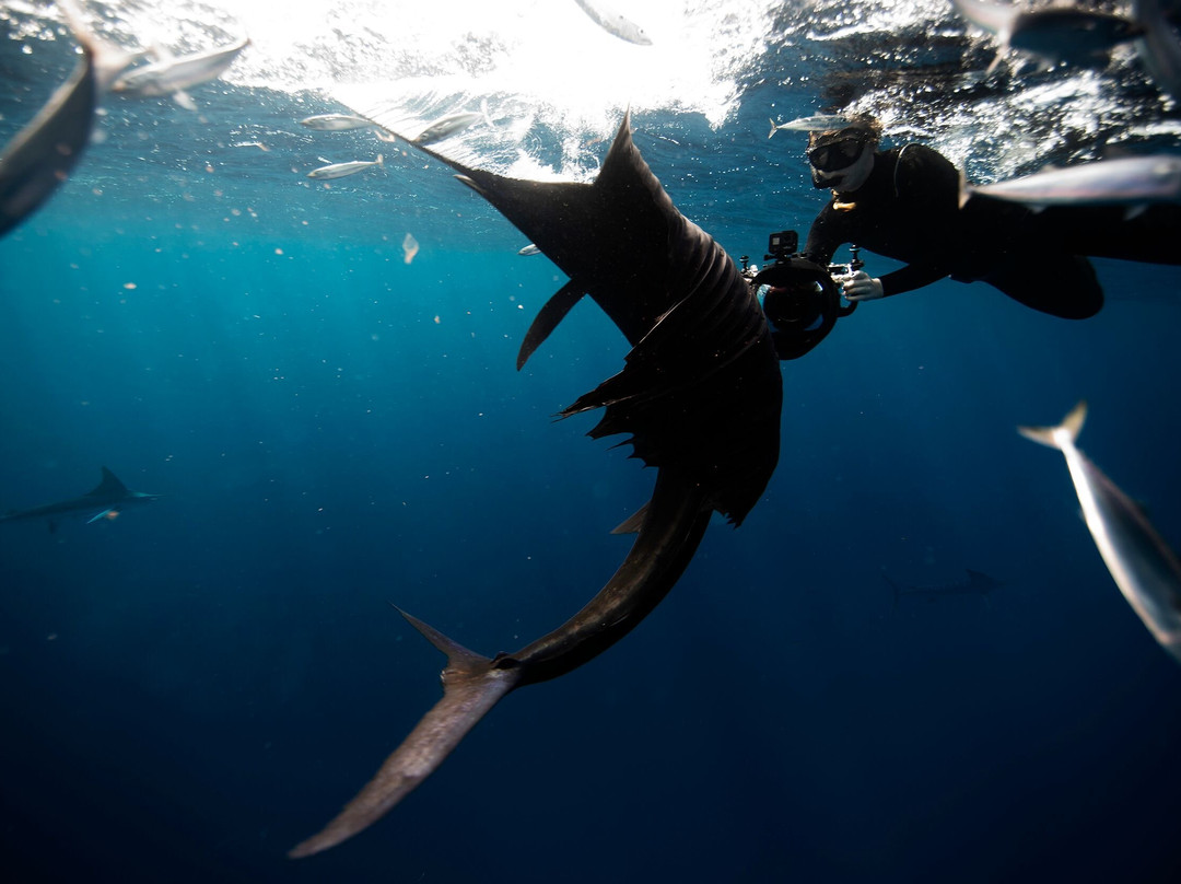 Baja My Love-圣何塞卡波必去景点