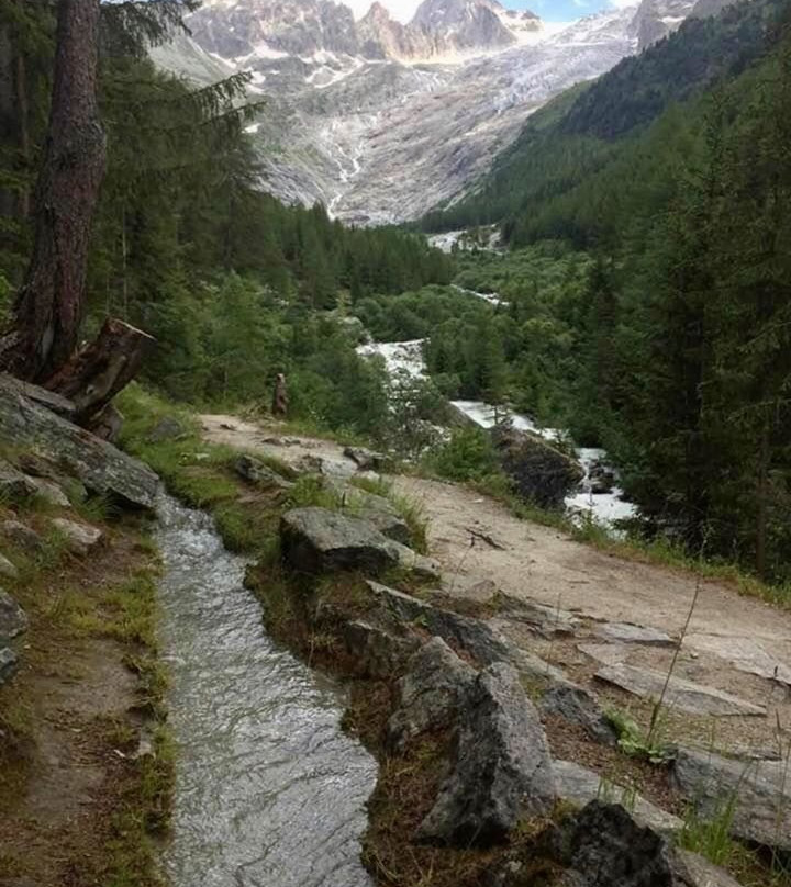 Sentier du bisse du Glacier du Trient景点图片