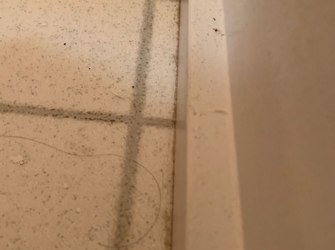 Salmon River Motel主图