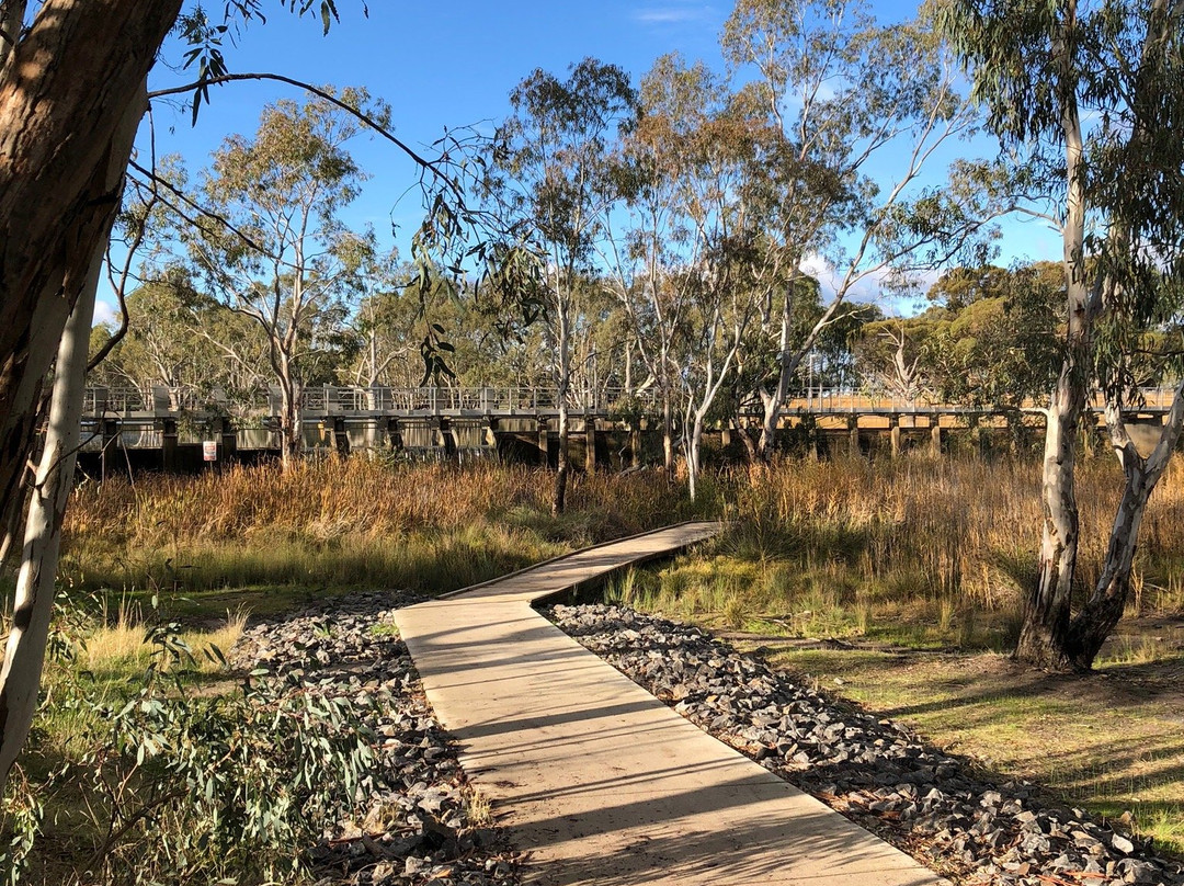 Yanga Track-霍舌姆必去景点