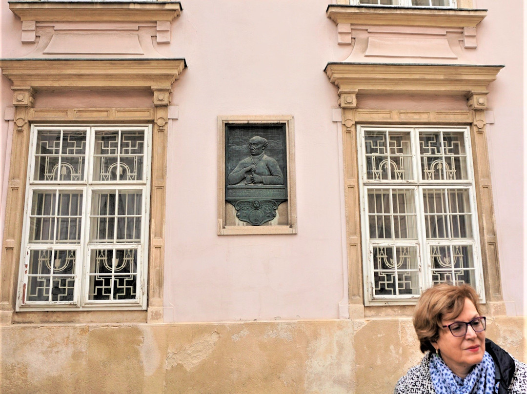 Tour4U - Bratislava Sightseeing景点图片