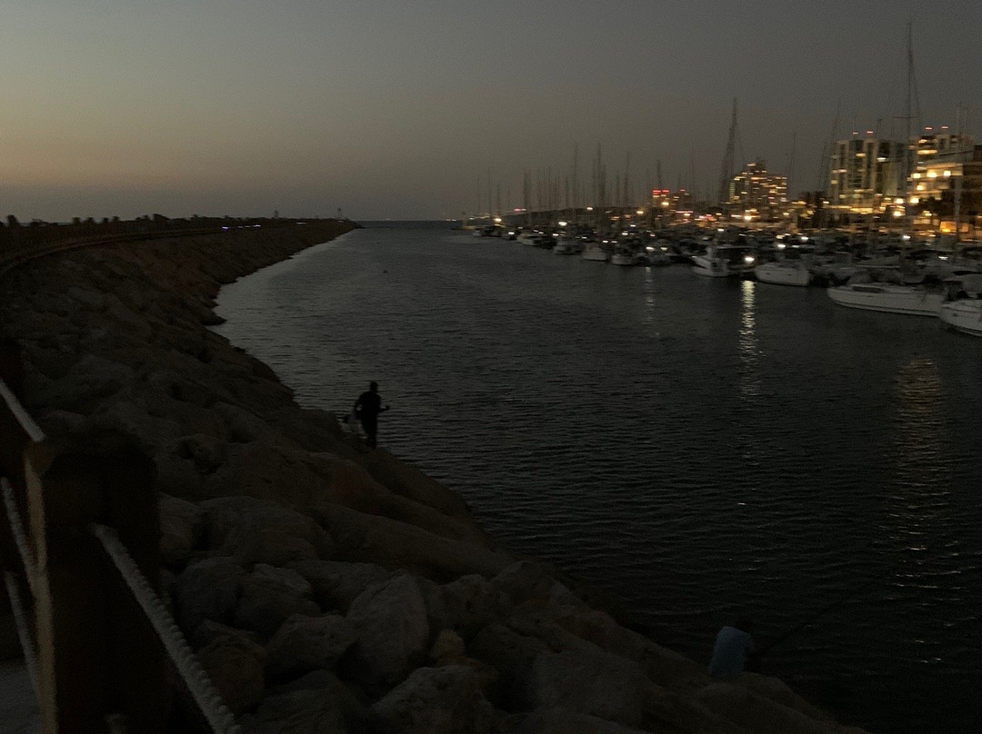 Herzliya Marina-荷兹利亚必去景点