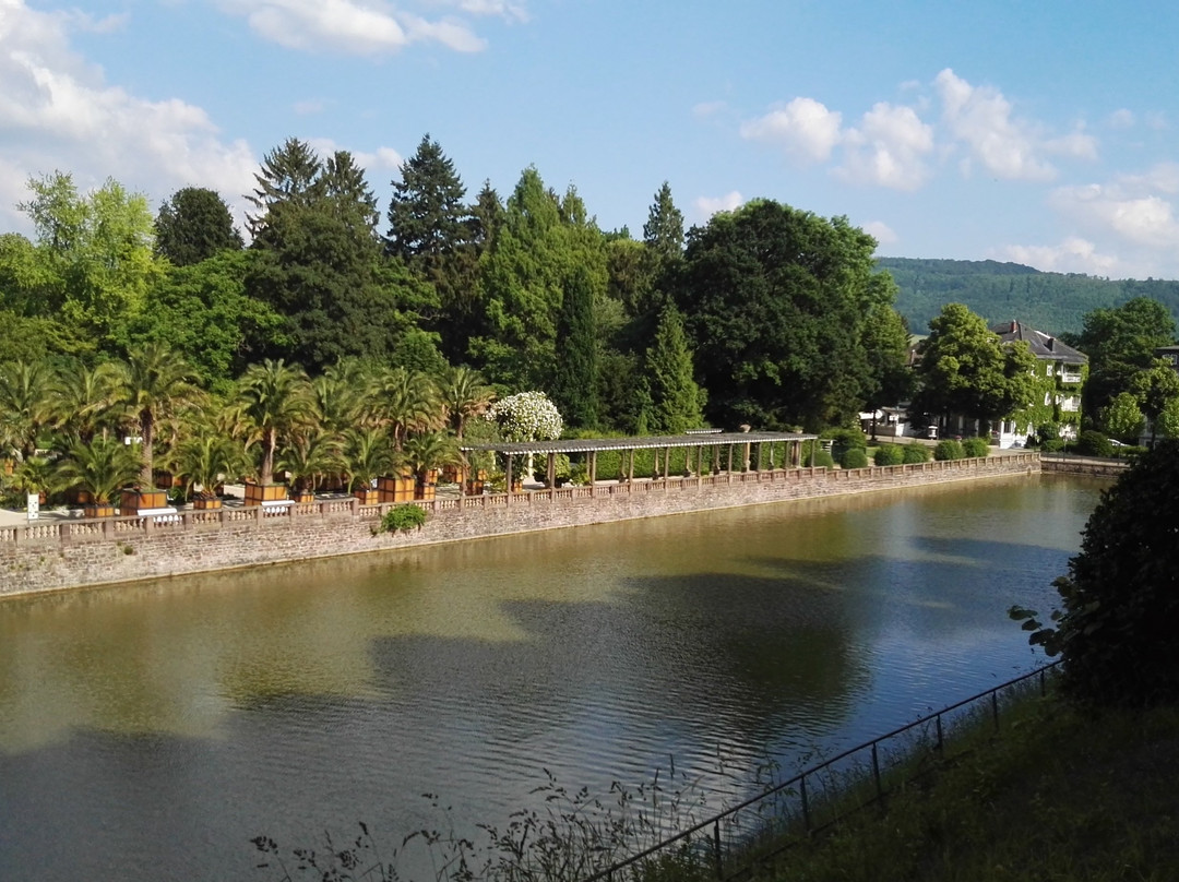 Museum im Schloss Bad Pyrmont景点图片