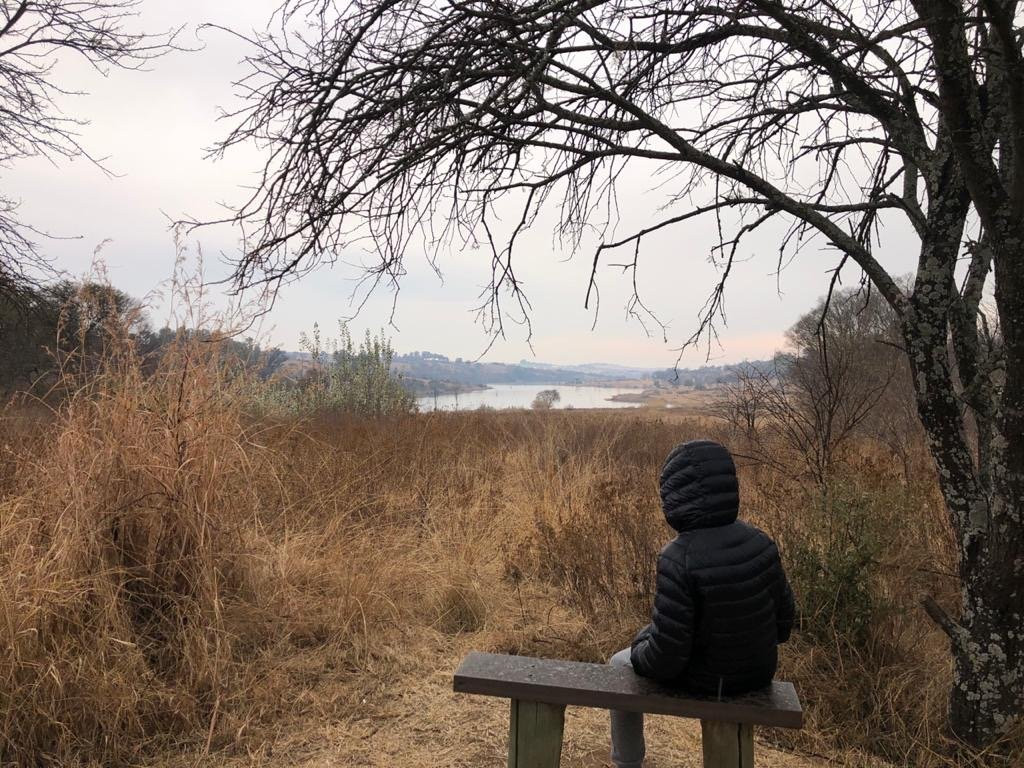 Cradle Moon景点图片