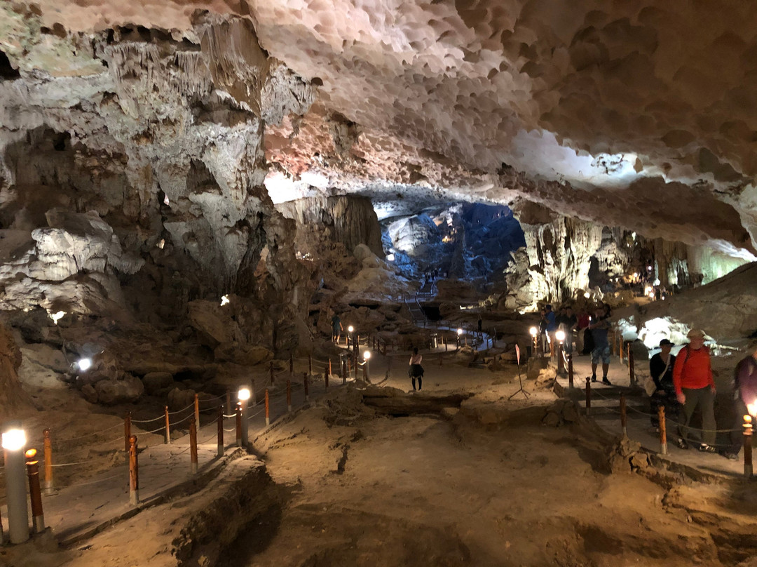 President Cruises-Ha Long City必去景点
