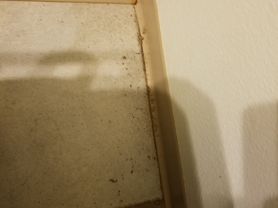 Lily Lake Resort-Burlington必去景点