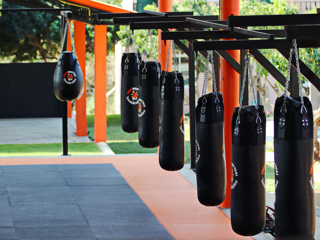 Tiger Muay Thai And MMA Training Camp, Chiang Mai景点图片
