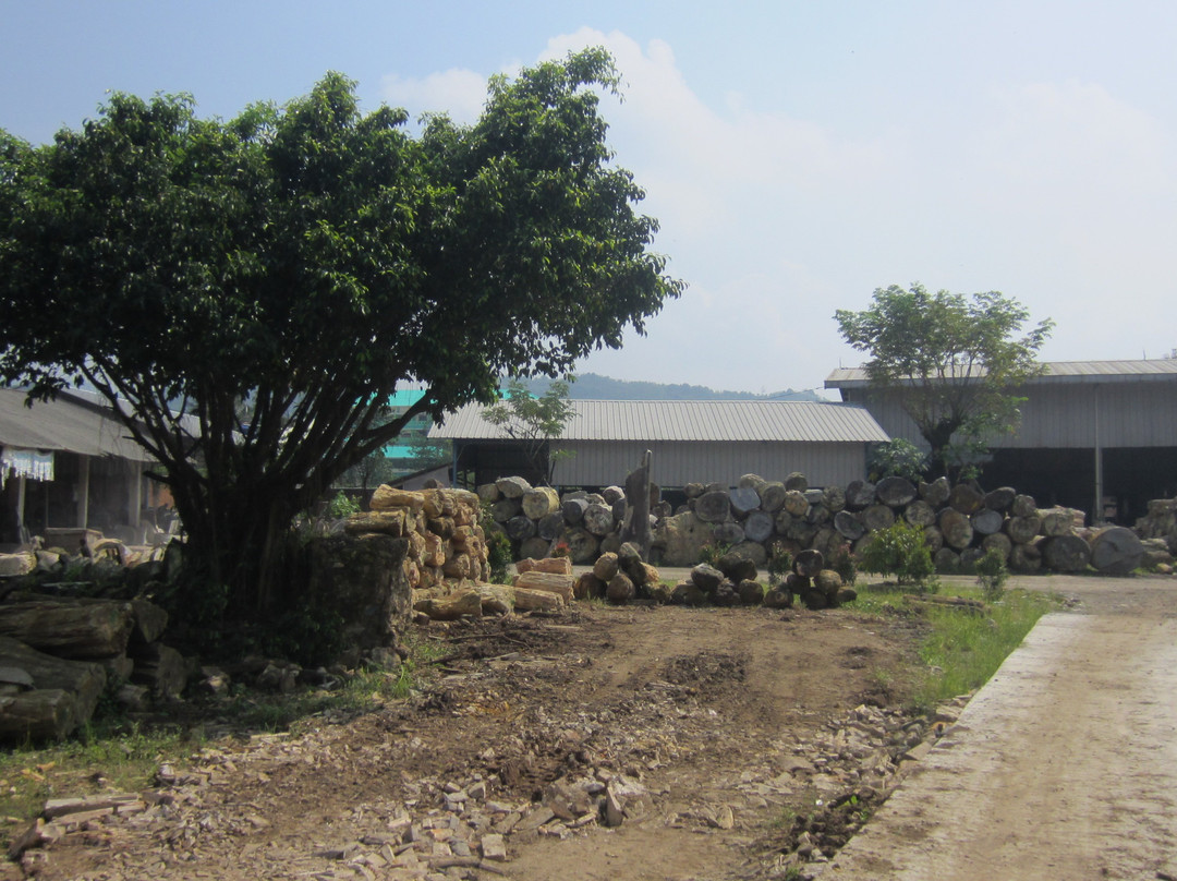 Petrified Wood Indonesia-茂物必去景点