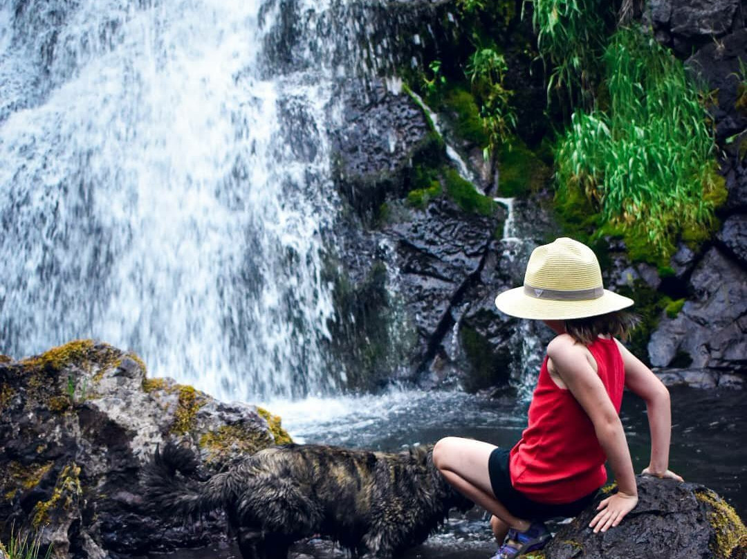 Iron Gate Ranch-Hornbrook必去景点
