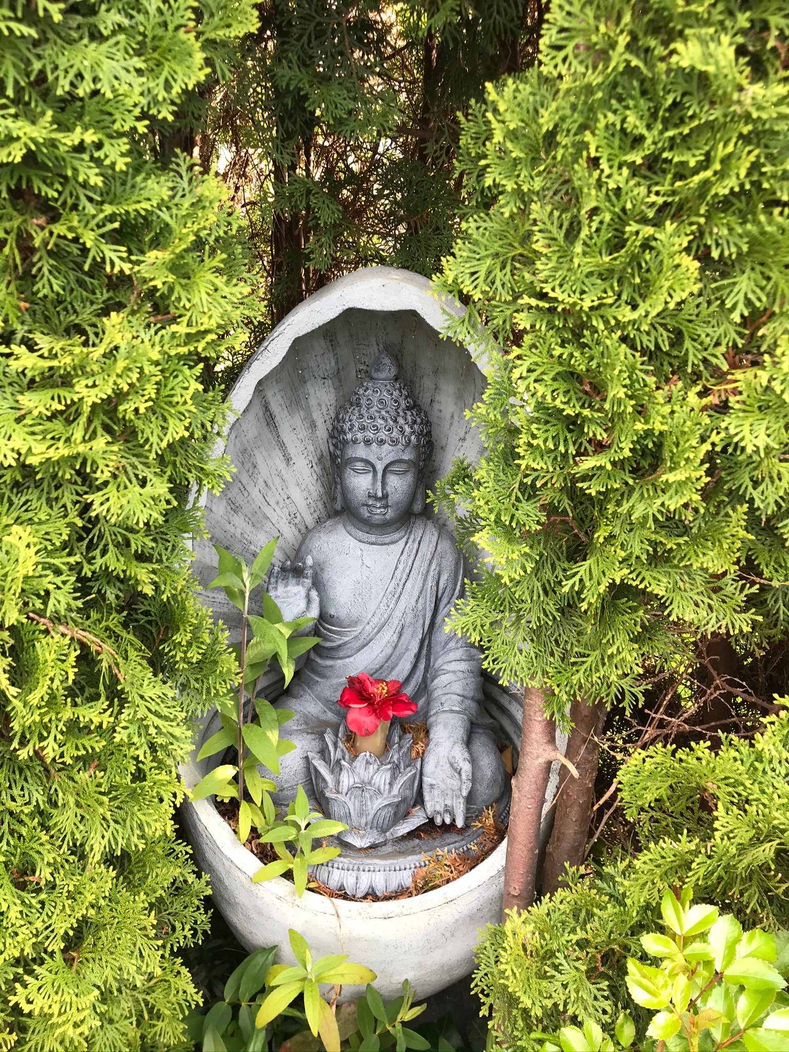 Bed and Breakfast Wellness Centre Homestay Dreamtime-portrait