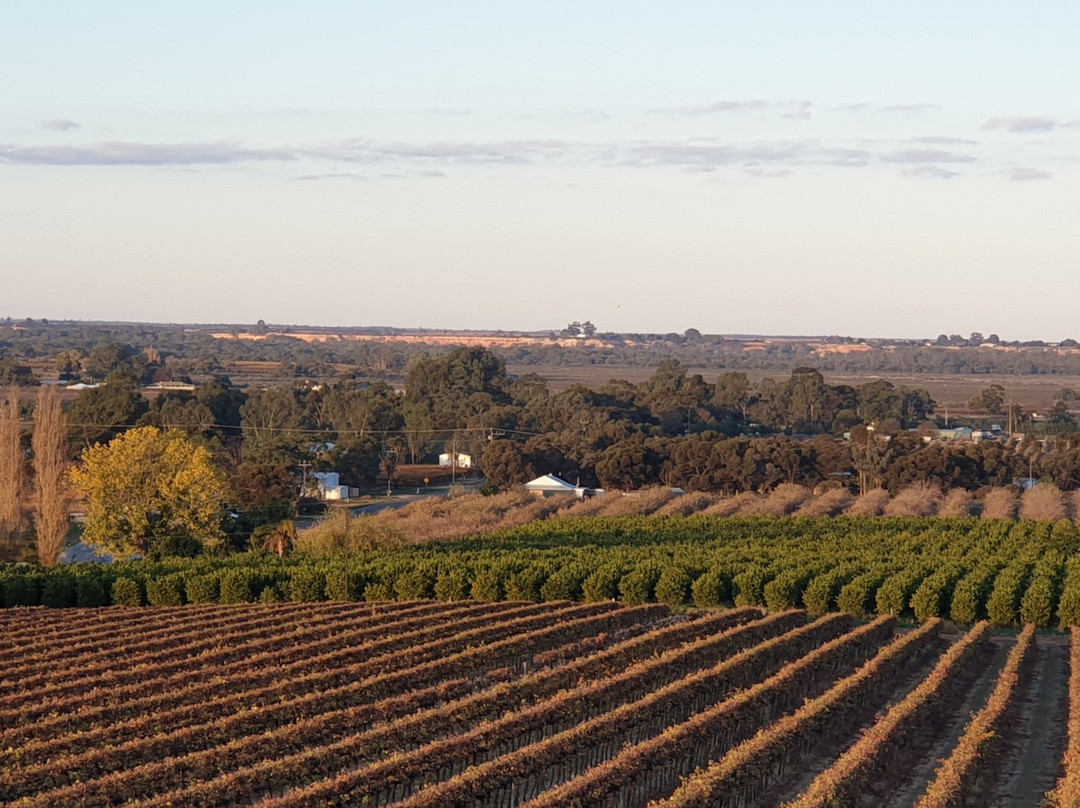 Renmark Rotary Township Lookout Tower-Renmark必去景点
