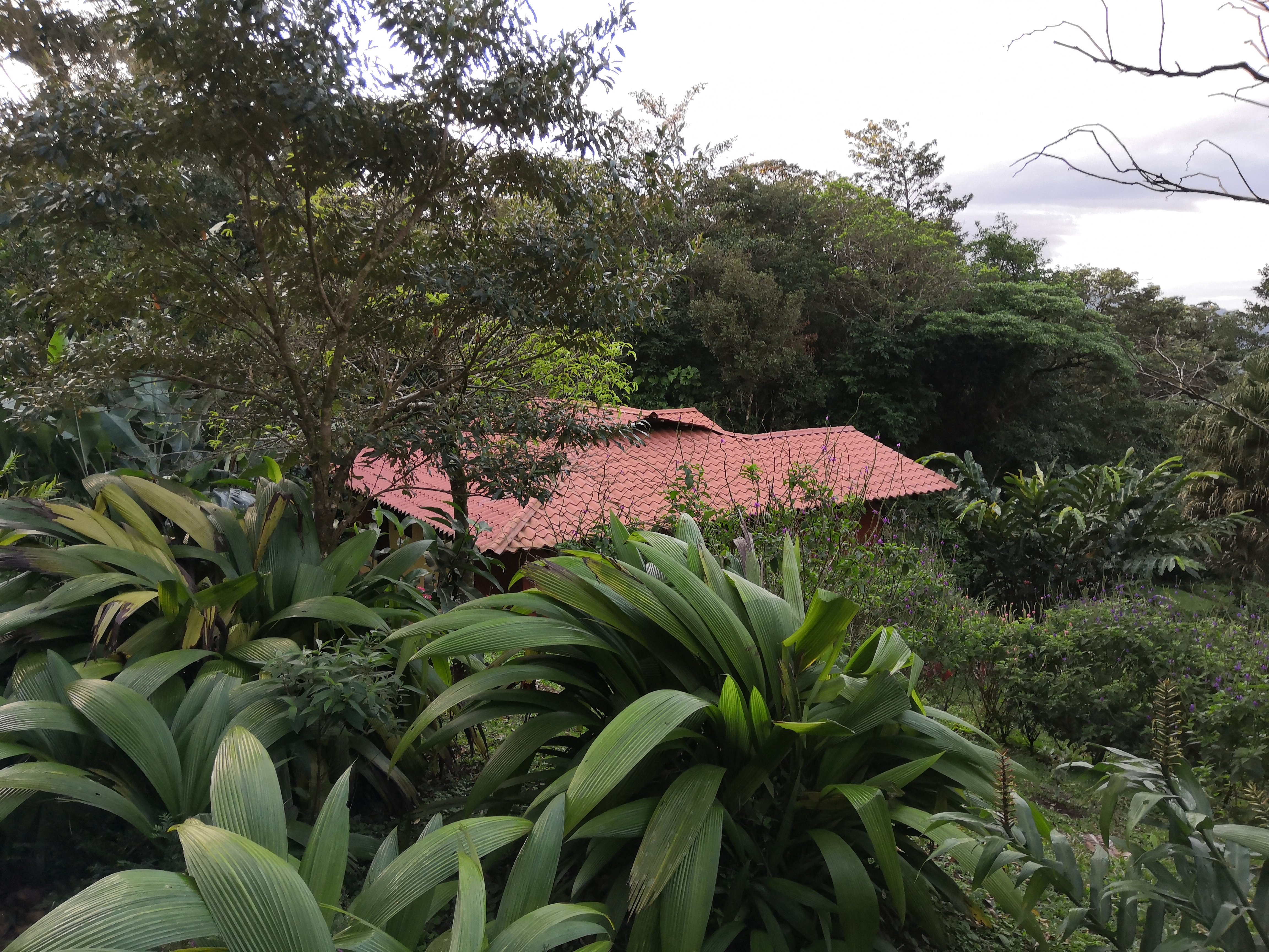 Heliconias Rainforest Lodge-浴室