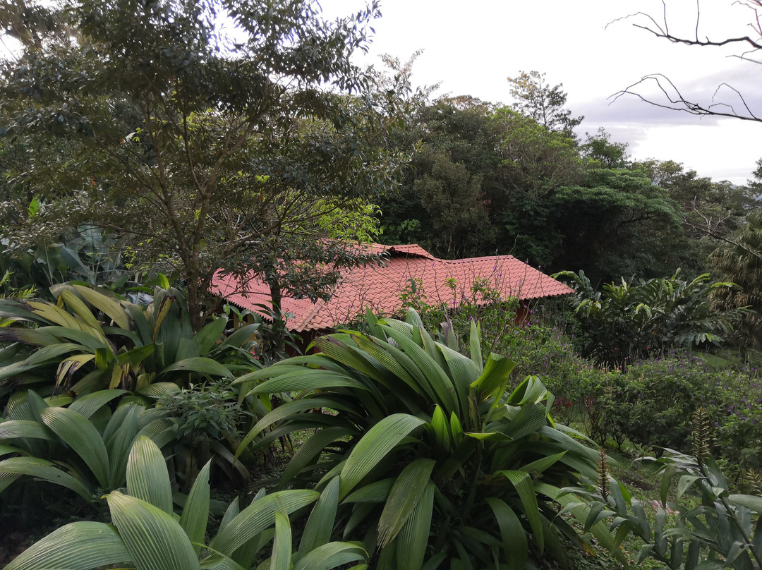 Heliconias Rainforest Lodge主图