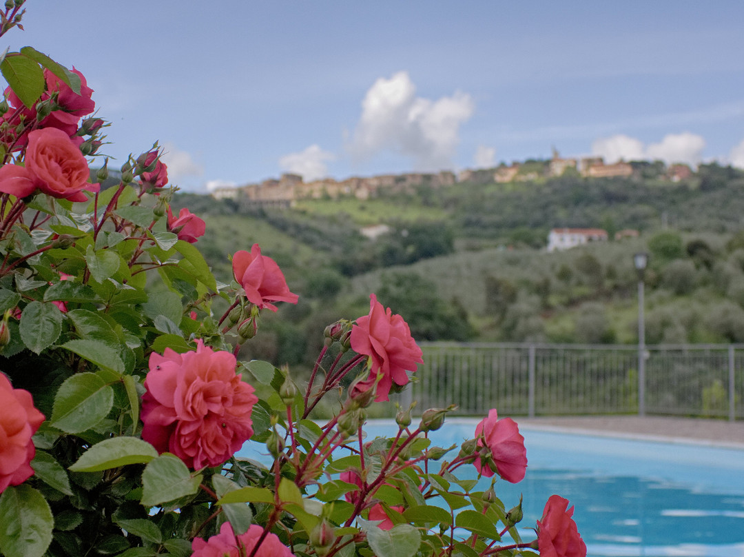 Casa Olivo - Agriturismo in Maremma