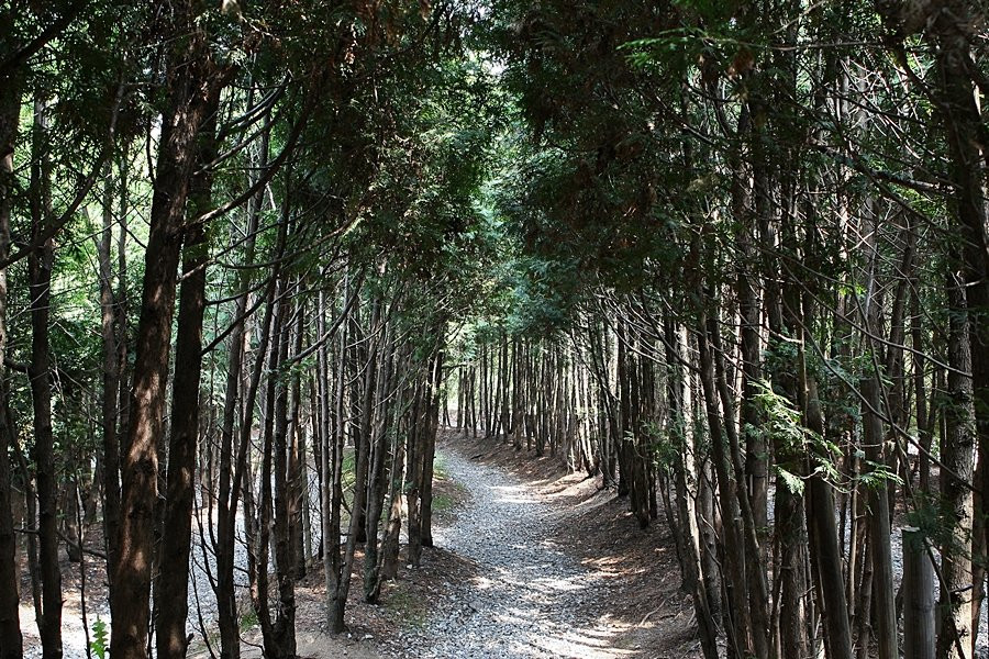 Hwanghaksan Arboretum