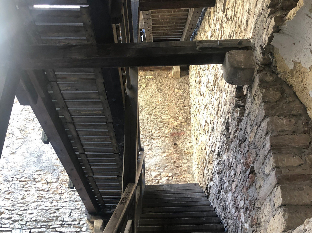 Wartenberg-Muttenz必去景点