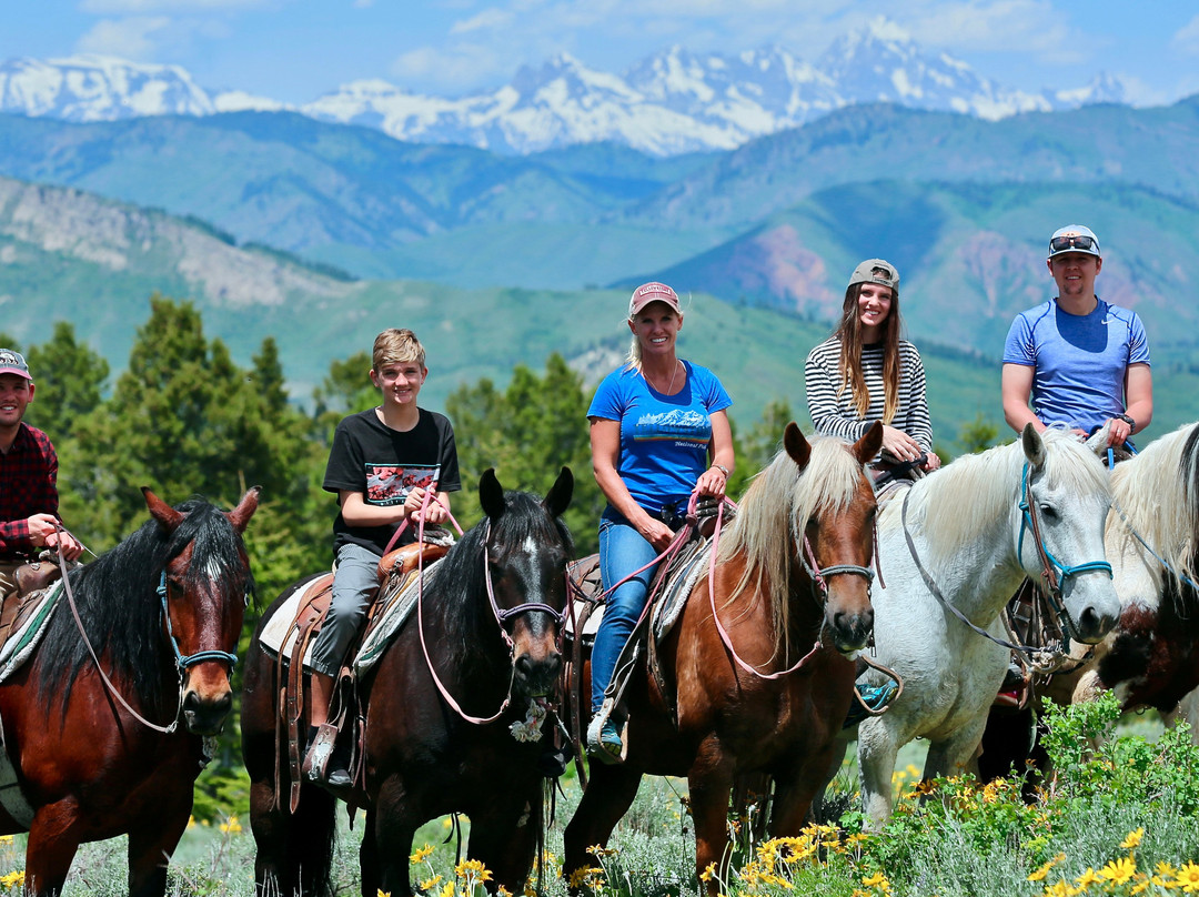 Willow Creek Horseback Rides-杰克逊必去景点