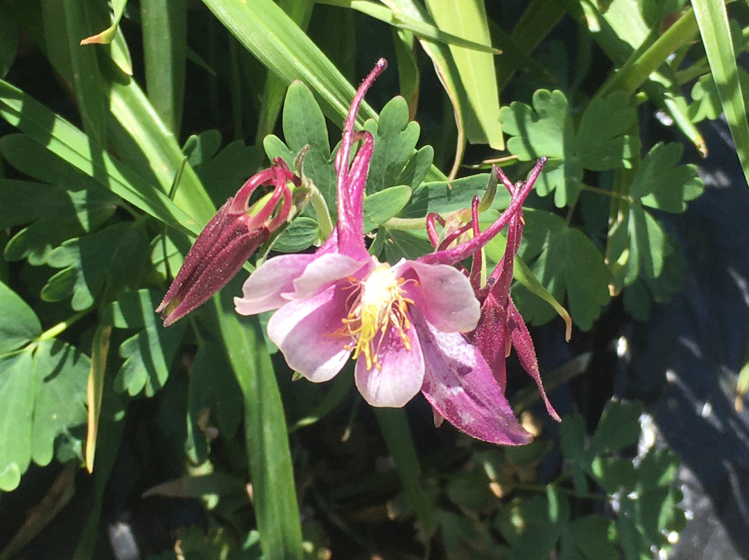 La Quinta Inn & Suites by Wyndham Enid主图