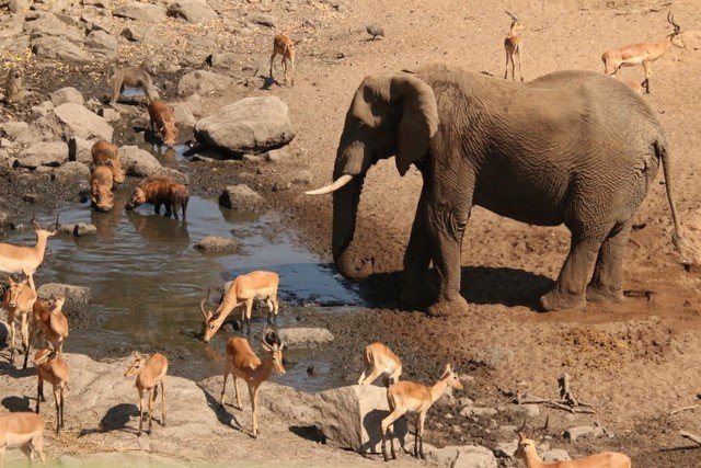 Kruger Africa Safaris-玛洛斯帕克必去景点