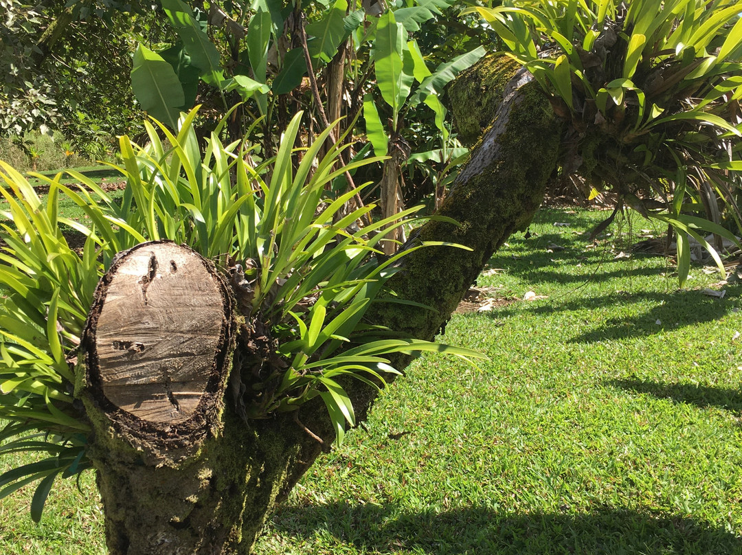 Hilo Coffee Mill-山景城必去景点