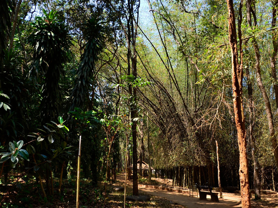 Kodanand Elephant Training Centre-Kodanad必去景点