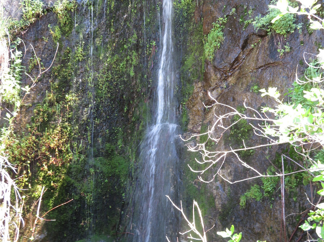 Generals Highway-红杉&国王峡谷国家公园必去景点