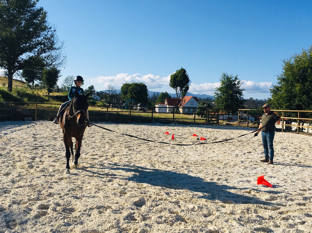 Quinta Lusitânia Riding School景点图片