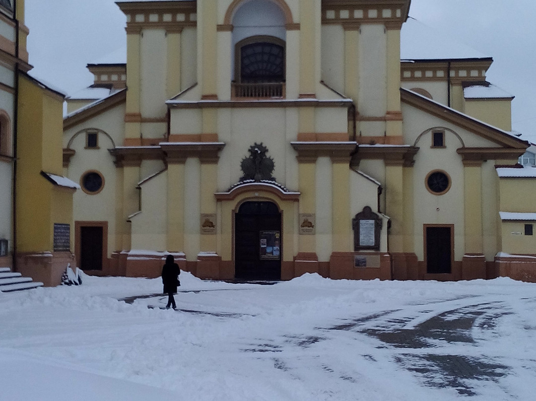 Prycarpathian Museum of Arts-Ivano-Frankivsk必去景点