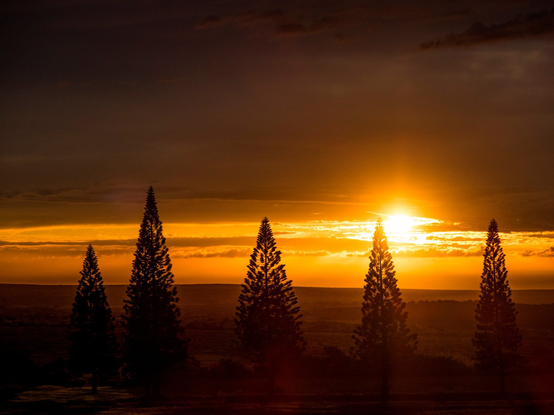 拉奈岛酒店住宿-Sensei Lanai, A Four Seasons Resort