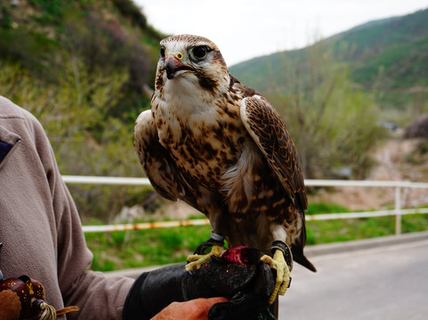 Silktravel.kz-阿拉木图必去景点