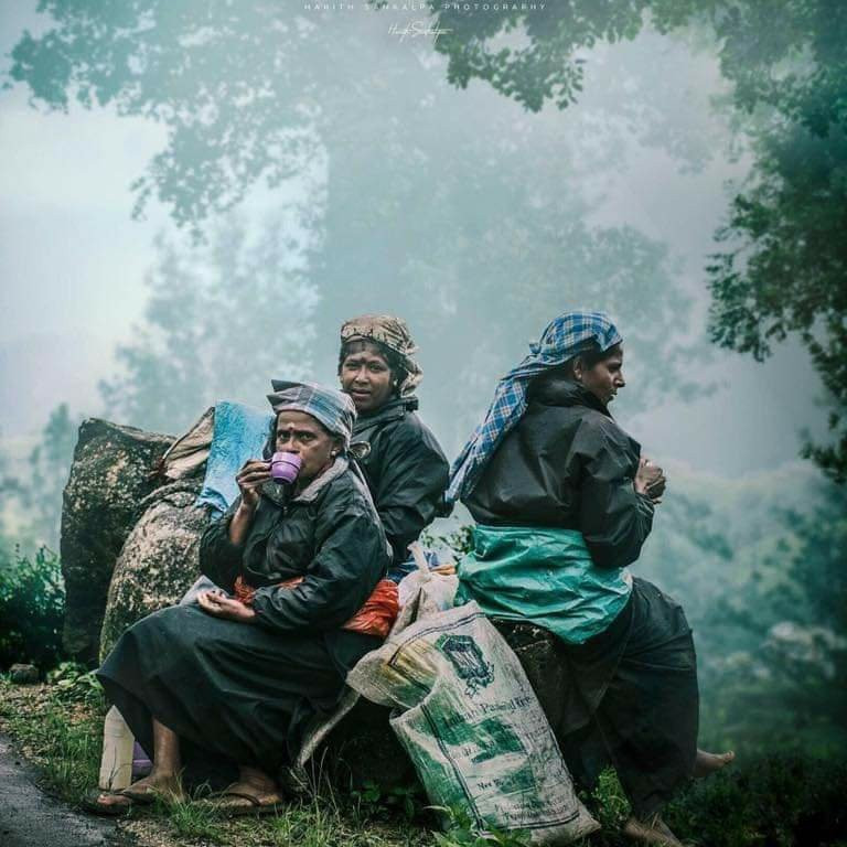 Beautiful Sri Lanka Photography And Tours景点图片