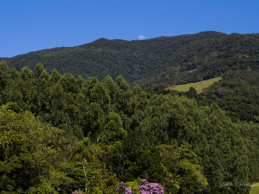Reserva Biologica Mata Paludosa-Itati必去景点