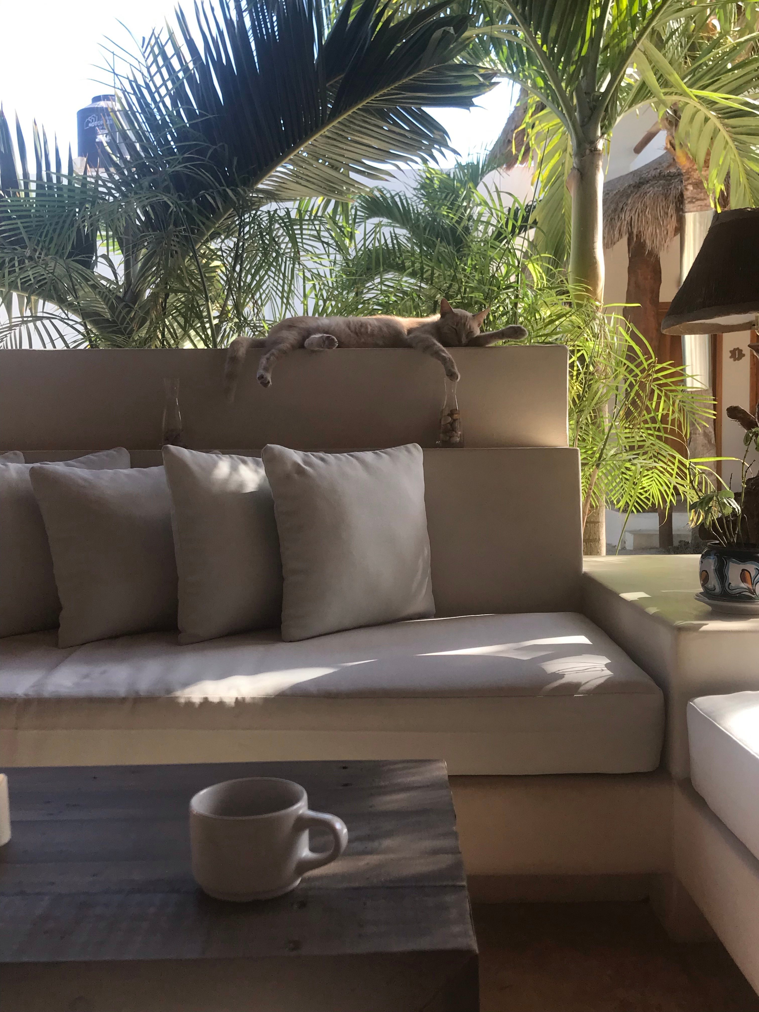 Tierra del Mar Hotel-浴室