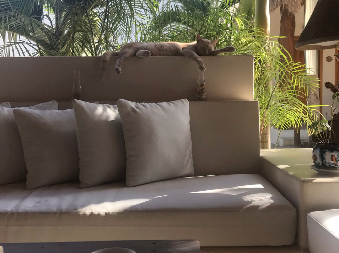 Tierra del Mar Hotel主图