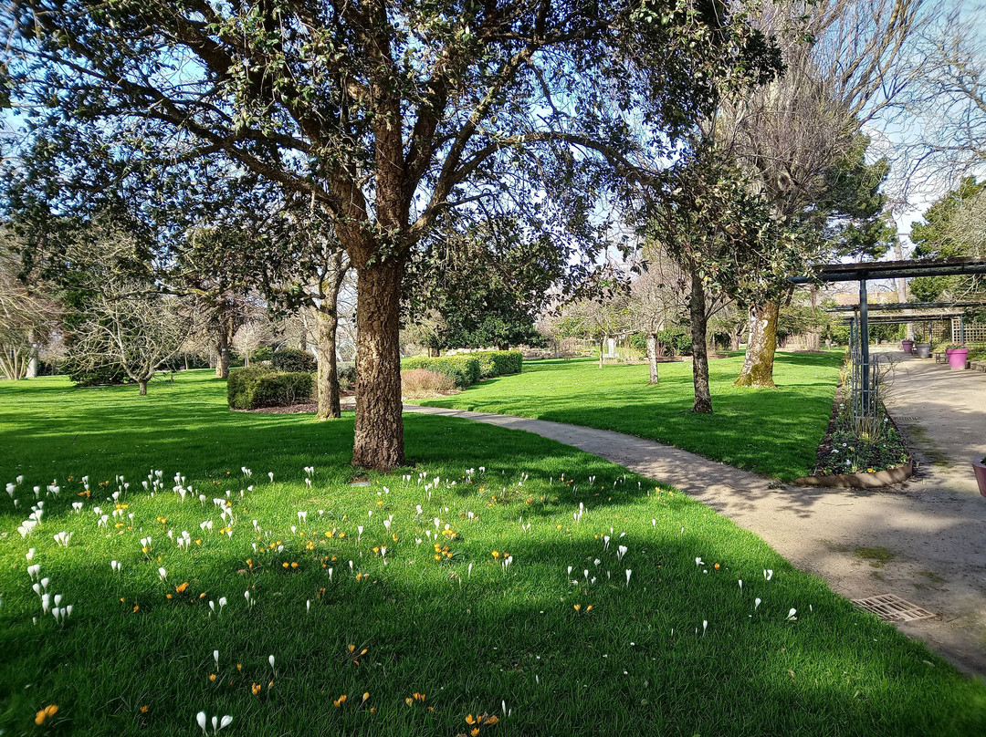 Jardin des Plantes景点图片