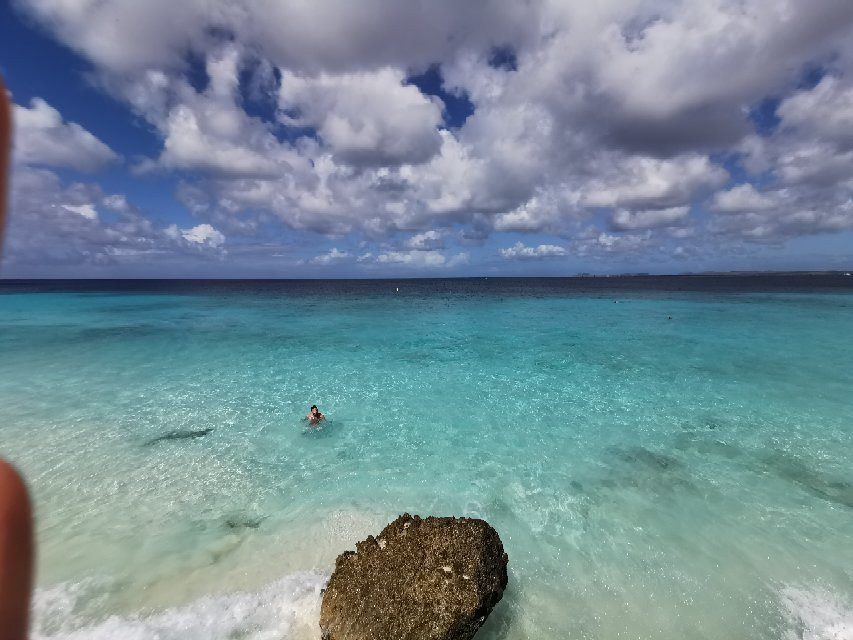 Bachelor's Beach-博奈尔岛必去景点