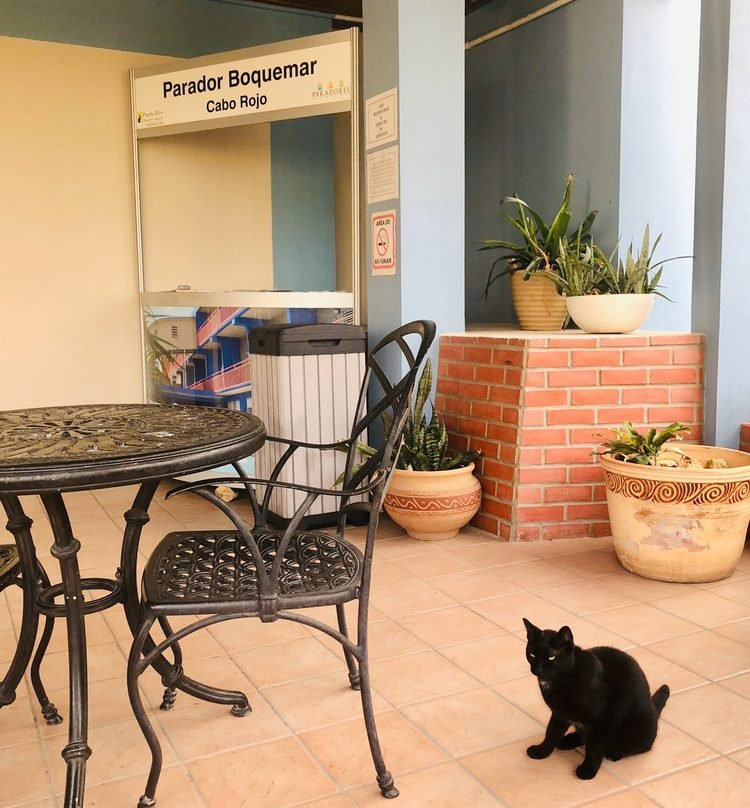 帕拉多博奇马尔主图