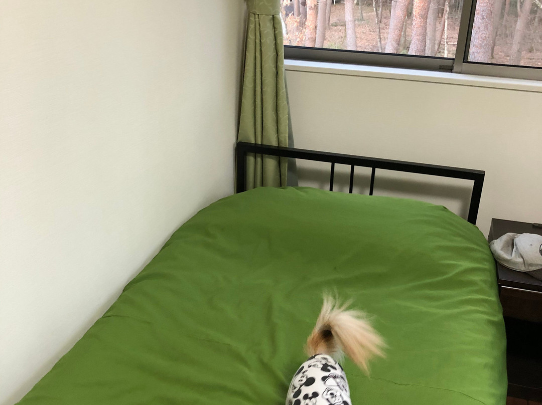 Oyado Tantan主图