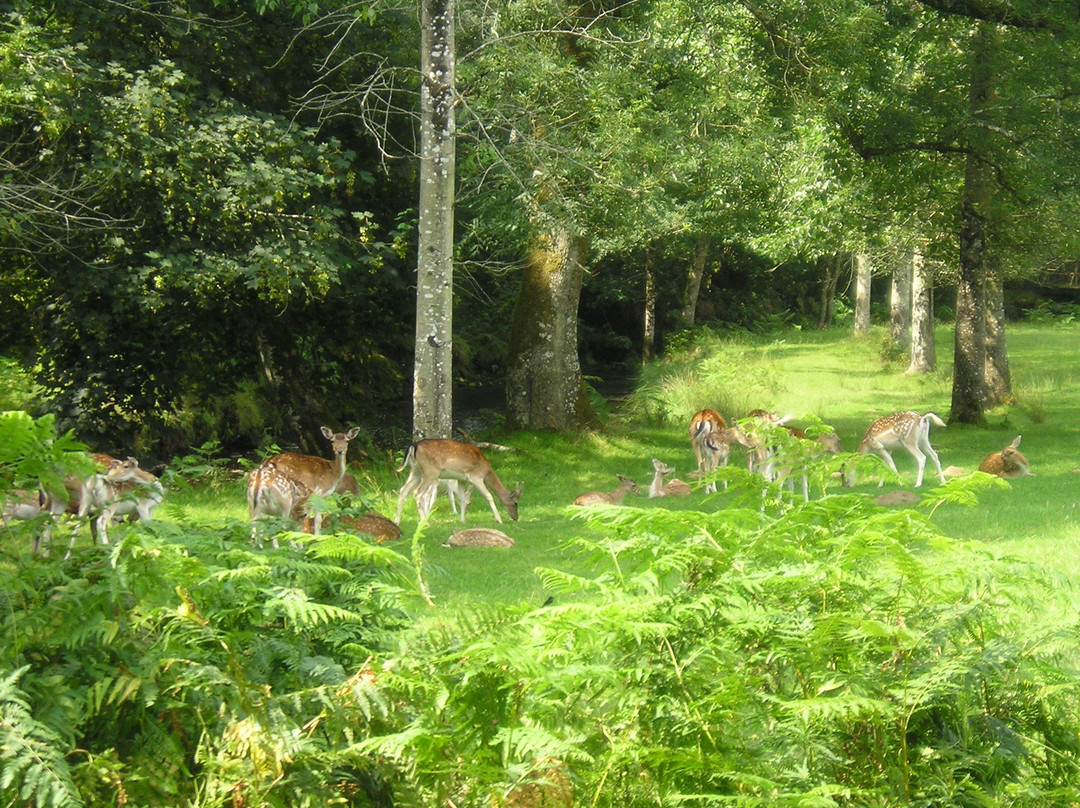 Le Sterou Parc Naturel景点图片