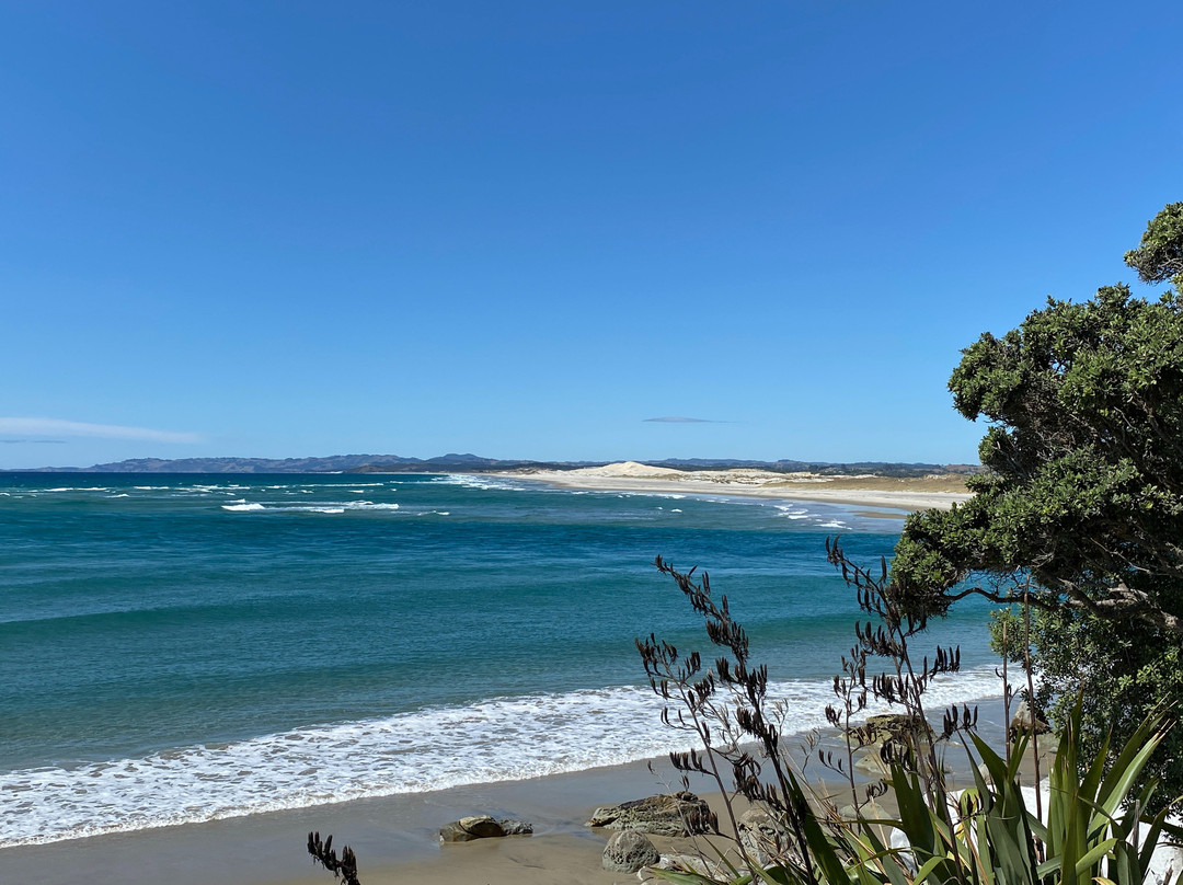 Mangawhai Beach景点图片