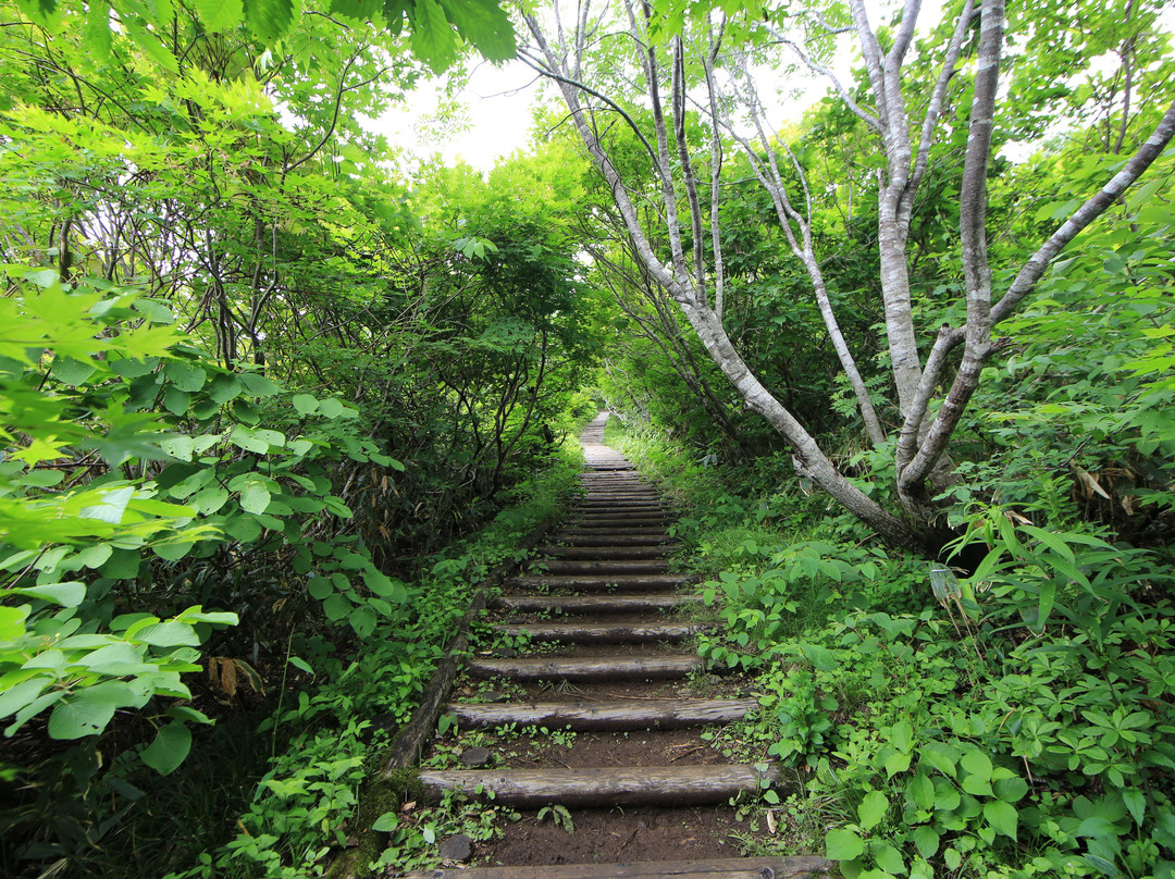 Oguninuma-北盐原村必去景点