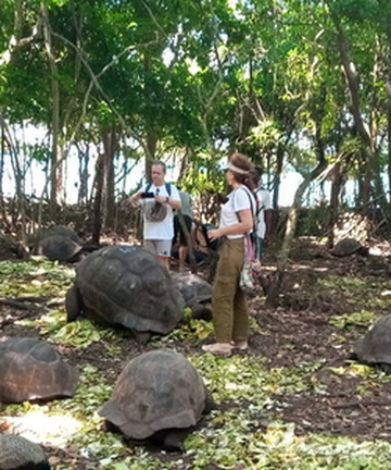 Tumbatu Island景点门票图片