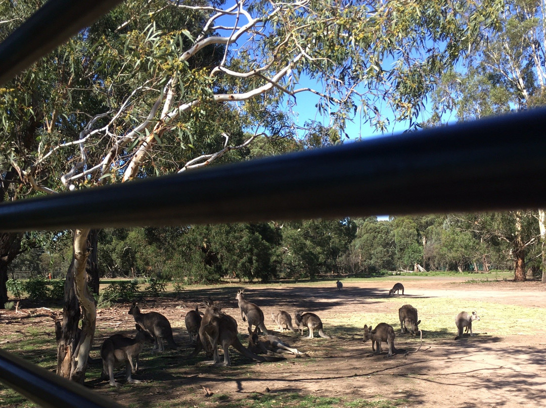 Bundoora Park景点图片